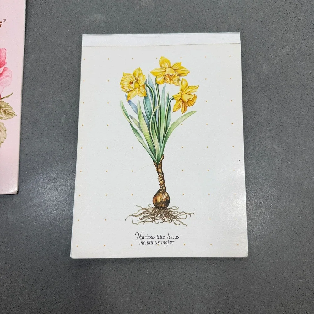 Vintage Mead Montag Stationery Lot Rose Narcissus Linda K Powell Holiday Pads